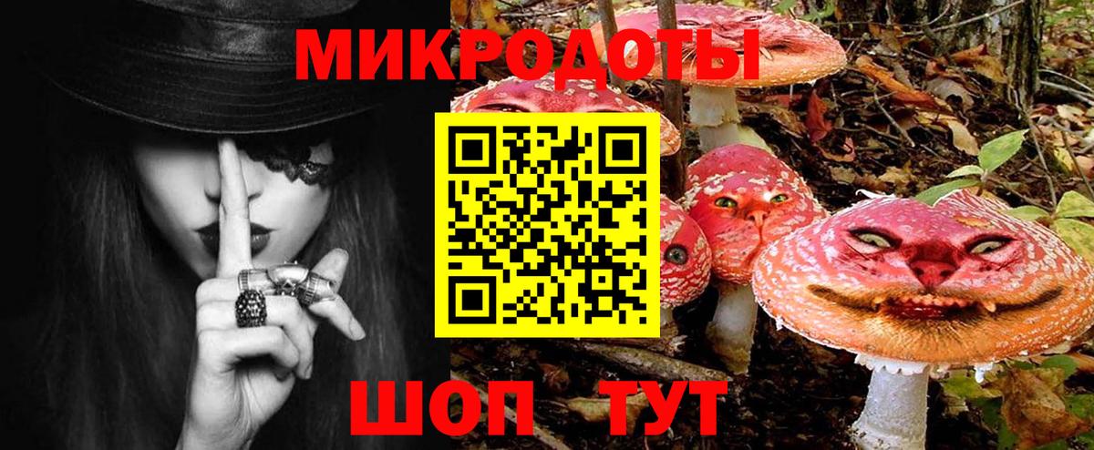 Галлюциногенные грибы MAGIC MUSHROOMS  Псилоцибиновые грибы мухоморы  Обь  Вход с VPN 